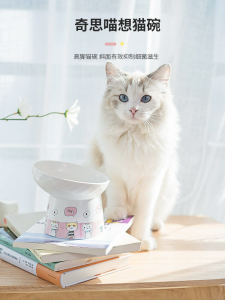 Ceramic Cat Bowl High Footed Water Drinking Bowl Cat Food Dish Pet Supplies Dog Bowl Slow Feeding Bowl for Cats And Dogs