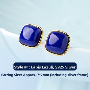 LINGFEI | Unique Temperament Lapis Lazuli Earrings S925 Silver