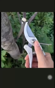 !!..ลดแค่ 3 วันเท่านั้น..!!🔹Made in Japan🔹ที่ตัดกิ่งไม้ กรรไกรตัดกิ่งไม้ กรรไกรทำสวนทำจากเหล็ก SK5 ตัดกิ่งไม้ได้อย่างง่ายดาย ตัดกิ่งขนาด 22 mm