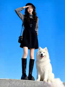 CHANGTONG | Stylish Korean Gentle Style Sweater Vest Dress Set Spring 2026