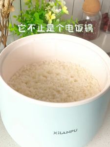 Intelligent mini rice cooker electric cooker German multifunctional electric rice cooker household electric cooker instant noodle pot