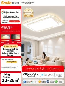 Smile | Full Spectrum Eye-Protecting Ceiling Light