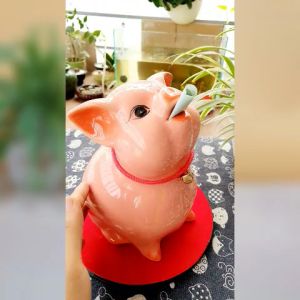 Bộ 4 Gốm Sứ Lợn Tiết Kiệm Đa Màu Sắc Size 1-4