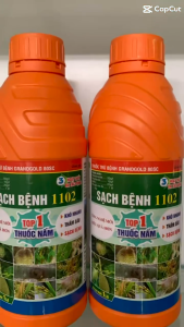 Sạch bệnh 1102 trị nấm hồng trên sầu riêng nấm hồng trên chanh cam quýt hiệu sạch bệnh 1102 1L phun 400-600L nước