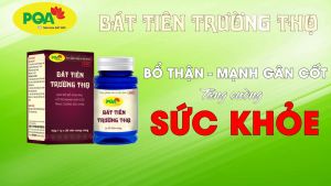 Bát Tiên Trường Thọ PQA Giúp Bồi Bổ Thận Âm Mạnh Gân Cốt Và Tăng Cường Sức Khỏe Thận hư