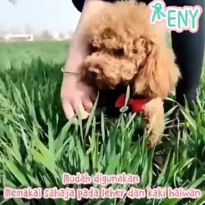 TRENY Automated Cat Dog Traction Rope Pet Leash Product Pet Telescopic Retractable Pet Nylon 3m & 5m Length 宠物自动牵引绳