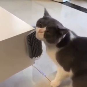 Catit Self Groomer with Catnip/Corner Wall Scratcher Brush Massage Comb