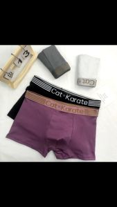 NewWestern Mens Underwear Boxers (4PCS) brief for men
