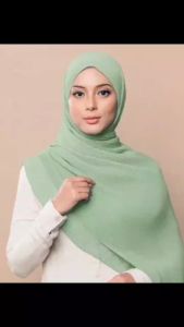 Tudung Premium Shawl Chiffon Fine Pleated Shawl Luxurious Micro Pleats Tudung Crush Halus Premium