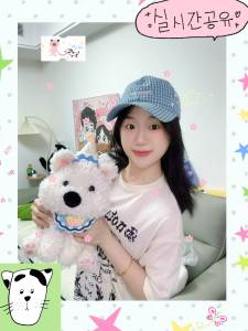 HEMIXIONG | High-end Gift Teddy Bear