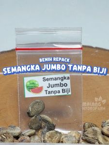 Benih Semangka Jumbo Tanpa Biji Unggulan Berkualitas biji bibit repack bulat nonbiji non besar manis hydroponik hidroponik tanaman buah pot