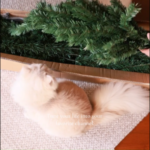 Christmas Tree 4/5/6/7FT Festive Party decorations for home 2025 High Quality Metal Stand Heavy Duty