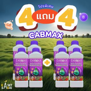 CABMAX 4แถม4 แคลเซียมโบรอน สูตรเข้มข้น เร่งดอก เร่งผล ติดดก เสริมขั้วเหนียว จัดส่งฟรี