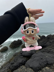 Labubu Original Rainbow Snowboard Cool Sportswear Doll Clothes Stand Pose Figure Trendy Plaything Collectible 15cm Size