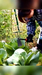 Garden shovel gardening tool set with non slip rubber handle suitable for transplanting weeding digging and planting work: shovel rake hoe.