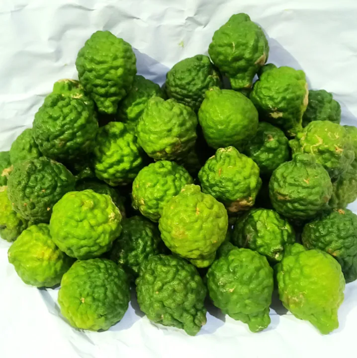 Jeruk%20Purut%20Jantan%201%20Kg%20-%20Image%204