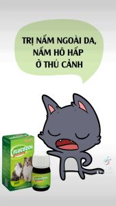Vemedim Flucozol pet nấm ngoài da nấm hô hấp cho chó mèo thỏ chim cảnh gà cảnh chai 30ml