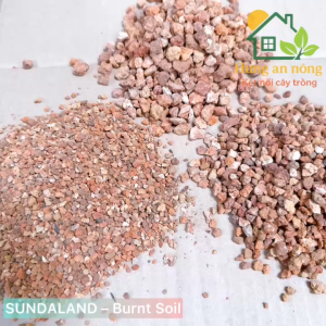 Đất sét nung SUNDALAND Burnt Soil giá thể bonsai sen đá xương rồng hồ thủy sinh