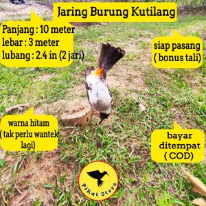 JALA PIKAT KUTILANG JALA PERANGKAP BURUNG#10 JALA TILANG JALA KUTILANG JALA CANGKURILANG JALA PIKAT BURUNG SEDANG JALA BURUNG MURAH JALA BURUNG SIAP PAKE PIKAT KUTILANG JARING BURUNG TILANG PIKAT JONTROT KUTILANG JARING BURUNG KETILANG JARING BURUNG SIAP
