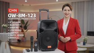 CHN OW-8M-123 Professional 8 Inch Speaker System with Wireless Microphone Bluetooth Remote & FM Radio
