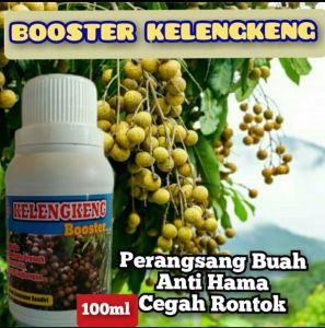 Pupuk Booster Buah Super Perangsang Buah Terbaik Ampuh Supaya Cepat Berbuah