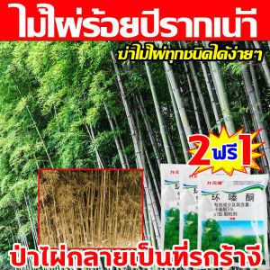 💥แค่1ซองป่าไผ่ให้เป็นพื้นที่รกร้าง💥ผงกำจัดกอไผ่500g สารกำจัดกอไผ่ เฮกซาซิโนน5% ยาฆ่ากอไม้ไผ่ รากต้นไม้เน่า2000% ผงกำจัดต้นไม้ ฆ่าไม้ไผ่ทุกชนิดได้ง่ายๆ ผงกำจัดต้นไผ่ ไม่ทำร้ายดิน ยาฆ่าต้นไม้ไผ่ ยาฆ่าตอไม้ใหญ่ ยาฆ่าต้นไม้ใหญ ผงฆ่ากอไผ่ ยาฆ่าตอไม้ไผ่