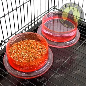 SEMPATI TM: Tempat Makan Minum Hewan Peliharaan