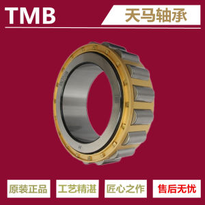 Reduction Gearbox Short Cylindrical Roller Bearings RN307M RN309M RN312M RN328M Single Row Standard Hardware Tools Bearings