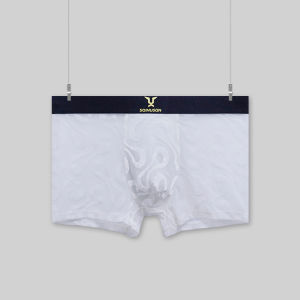 Mens Sheer Mesh Velvet Print Boxer Briefs High Elastic Wide Waistband plus Size Multi Colors Optional for Summer Comfort