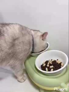 Bát ăn đôi sứ và inox cho chó mèo kèm kệ chống gù chất liệu nhựa mica điều chỉnh cao thấp - 4pets official