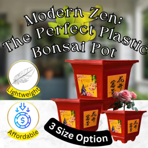 [P98] - 3 Size Options Indoor & Outdoor Plants Stylish Plastic Bonsai Pots – Lightweight Durable