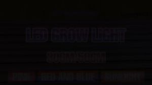 LED Grow Light Bar USB Full Spectrum Plant Lamp 5V Indoor  Seeds Fill Light Greenhouse Tent Box Vegs Fruits Hydroponics Lighting