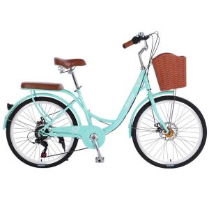 Raleigh | City Commuter Womens Vintage Lightweight Variable-Speed Bicycle 24 inch