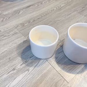 Chậu sứ trồng cây - COMBO 2 chậu trụ trơn trồng cây cảnh nội thất cây cảnh để bàn bonsai