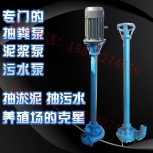 2 Inch Long Rod Sewage Pump with Choppy No Blockage in Septic Tank Industrial Cast Iron Electrically Driven Hardware Tool