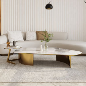 Light Luxury Special-Shaped Stone Plate Coffee Table Minimalist Internet Celebrity Living Room Coffee Table Small Apartment Designer Creative round Tea Table Side Table Corner Table