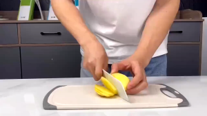 SPRING SLICER ALAT PEMOTONG SAYUR BUAH MULTIFUNGSI ALAT PARUT PENGIRIS SAYUR MODERN SERBAGUNA