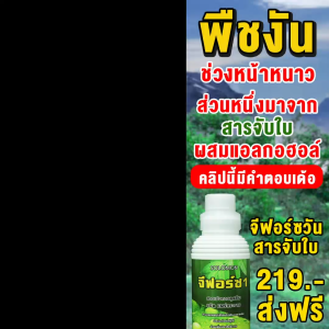 สารจับใบจีฟอร์ซ 1 (G-Force 1) 1 ลิตร แถมฮอโมน อ๊อกซิน100ซีซี