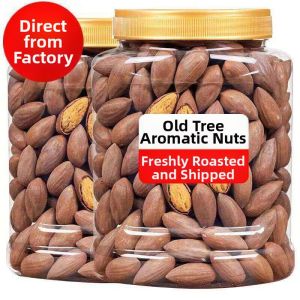 Ancient Tree Fresh Goods Large Chinese Torreya Seeds 500g