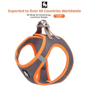 TRUELOVE | Vest Style Dog Harness and Leash for Small Dogs