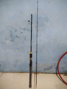 Joran Sutet Full Fuji