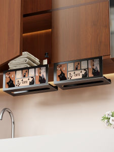 evesigar | Multipurpose No-Drilling Iron Tissue Dispenser