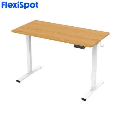Deskey E150 Essential Plus Standing Desk Electric Sit Stand Desk with 48 x 24 Inches Desktop with Ergonomic Memory Controller and USB Charge Port