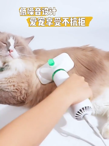 Electric Pet Grooming Portable Cat Dog Comb Brush 2 In 1 Adjustable Pet Hair Dryer