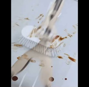 Chahua Long Handle Bristle Toilet Bathroom Tiles Floor Extendable Removeable Brush Head Cleaning Scrubber