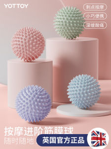 ลูกบอลออกกําลังกาย Yottoy สําหรับการผ่อนคลายกล้ามเนื้อที่เหมาะสมสําหรับเอวหลังและท้อง เหมาะสําหรับการออกกําลังกายโยคะและพิลาทิส