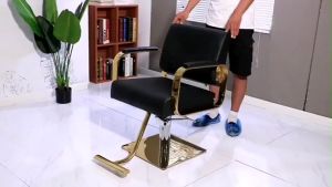 Salon Special Barber Chair: Hydraulic & Adjustable Height Metal Armchair
