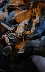 Mộc nhĩ rừng khô Tây Bắc - mộc nhĩ rừng Hà Giang cánh to dày không vụn siêu ngon túi zip 500gr