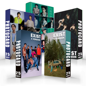 APPLE GOLD PHOTOCARD EXO EXIST PREMIUM GLOSSY