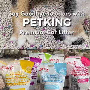 PETKING Premium Bentonite Cat Litter (5L)